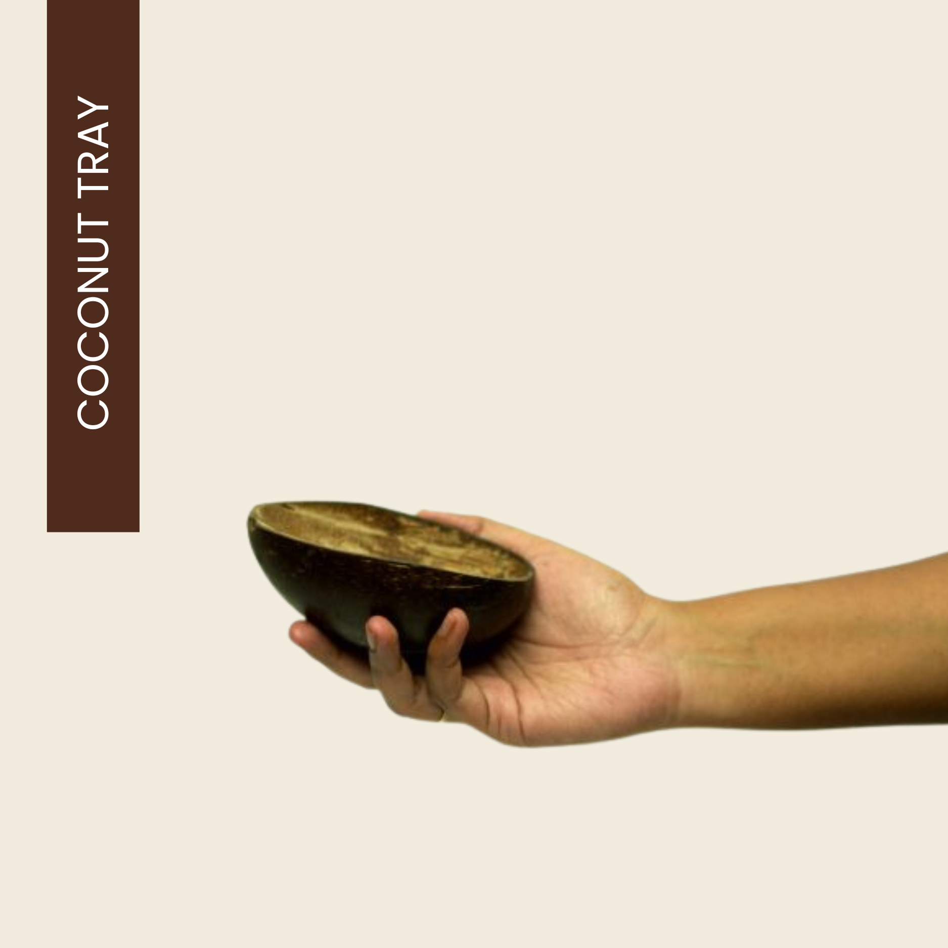 Coconut Tray